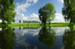 爱游戏在线-当赖斯无解之谜遭遇塞维利亚式逆转，足球的永恒辩证