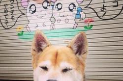 爱游戏入口-贝恩狂轰38分创生涯新高！活塞爆冷狂胜森林狼