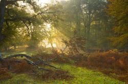 爱游戏APP-双重炼狱，当爱德华兹在粉碎雷霆的压力夹缝中爆发