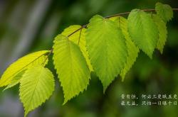 爱游戏在线-厄德高手术刀，当艺术足球肢解钢铁防线