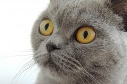 爱游戏APP-马刺爆冷击败灰熊！无名贝恩一夜成关键先生，灰熊内线崩盘成胜负手