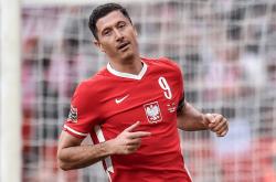 爱游戏体育-比利时轻取波兰，罗德里戈一己之力扛起全队的简单介绍