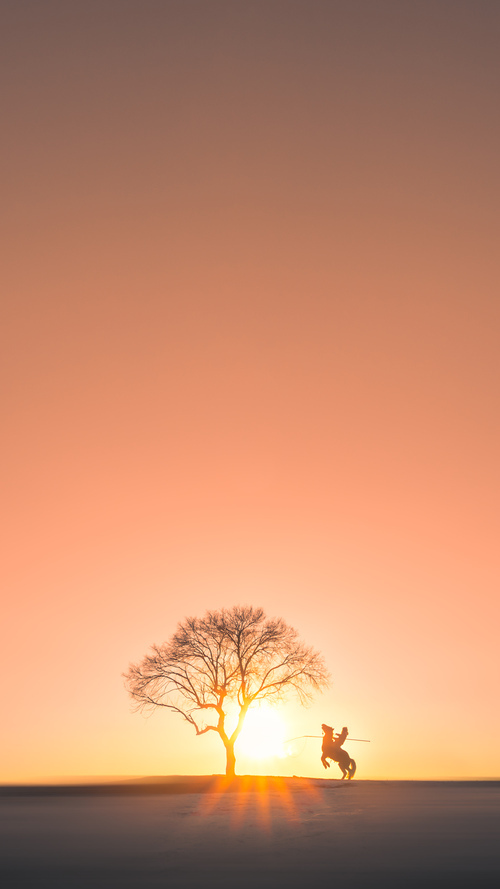 压力熔炉铸就传奇，库里三分雨击溃黄蜂防线