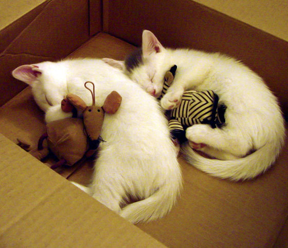 姆巴佩单骑破局,巴萨压制美学击碎曼城