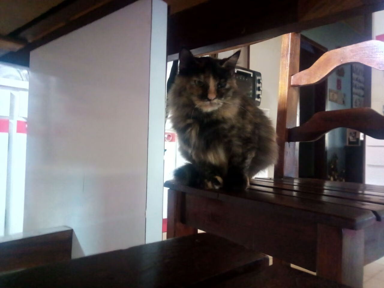 末节狂潮!英格拉姆独揽19分导演逆转,鹈鹕力克新疆取关键胜利