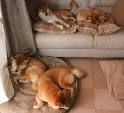 黄喜灿闪耀全场，摩纳哥逆转皇家社会显神威